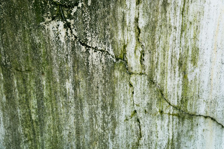 Cracked, discolored plaster with visible mold growth, the kind of surface damage that shows up wherever humidity stays too high for too long.
